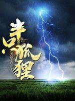 半只狐狸章节列表