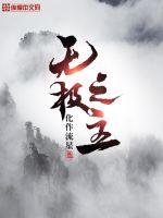 无极之主章节列表