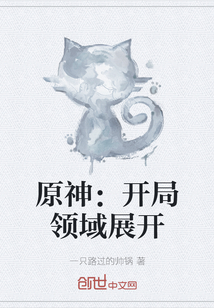 原神：开局领域展开章节列表