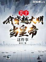 关于我穿越大明当皇帝这件事章节列表