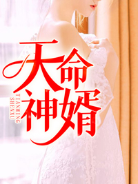 天命神婿章节列表