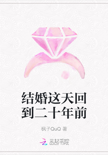 结婚这天回到二十年前章节列表