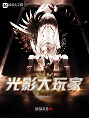 光影大玩家章节列表