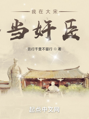 我在大宋当奸臣章节列表