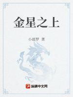 金星之上章节列表