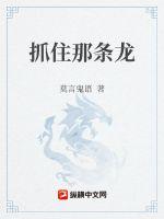 抓住那条龙章节列表