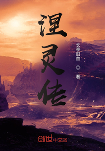 涅灵传章节列表