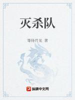 圣光余烬章节列表