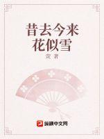 昔去今来花似雪章节列表