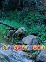 苟在山里搞五行阴阳章节列表