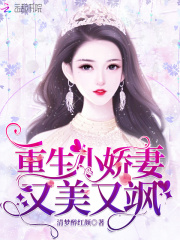 重生小娇妻又美又飒章节列表