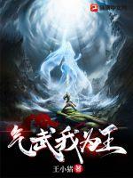 气武我为王章节列表