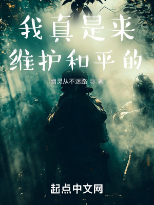 我真是来维护和平的章节列表