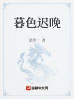 暮色迟晚章节列表