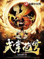 武掌苍穹章节列表