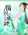 顾盼成欢章节列表