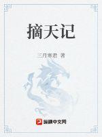 摘天记章节列表