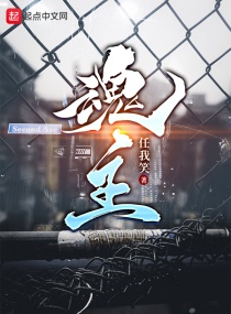 魂主章节列表