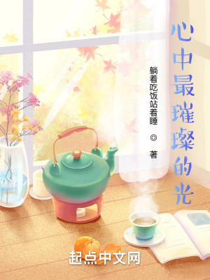 心中最璀璨的光章节列表
