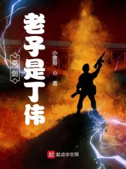 亮剑：老子是丁伟章节列表