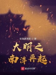 大明之南洋再起章节列表