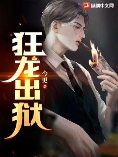 狂龙出狱章节列表