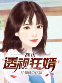 都市透视狂婿章节列表