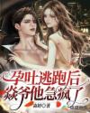 孕吐逃跑后，焱爷他急疯了章节列表