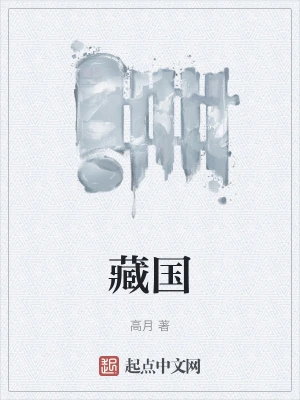 藏国章节列表