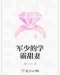 军少的学霸甜妻章节列表