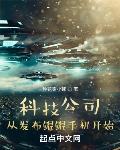 科技公司：从发布鲲鹏手机开始章节列表