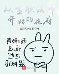 从全职法师开始的夜府章节列表