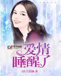 老婆大人有点暖章节列表