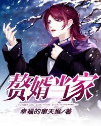 赘婿当家章节列表
