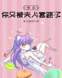 薄总，你又被夫人套路了章节列表