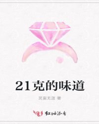 21克的味道章节列表
