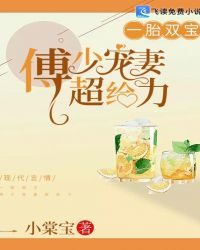 一胎双宝：傅少宠妻超给力！章节列表