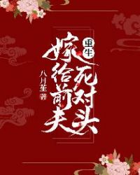 重生嫁给前夫死对头章节列表