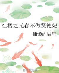 红楼之元春不做贤德妃章节列表