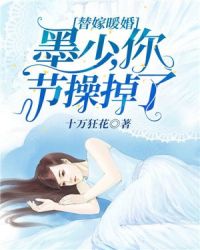 替嫁暖婚：墨少，你节操掉了章节列表