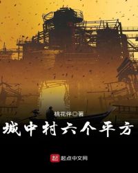 城中村六个平方章节列表
