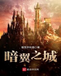 暗翼之城章节列表