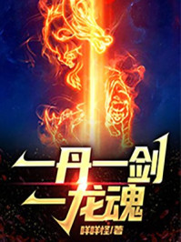 一丹一剑一龙魂章节列表
