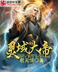 灵域大帝章节列表