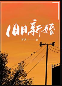 旧日新婚章节列表