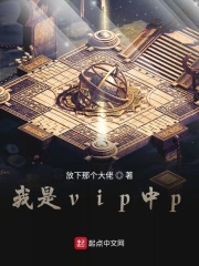 我是vip中p章节列表