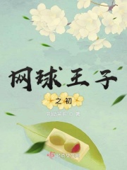 网球王子之初章节列表