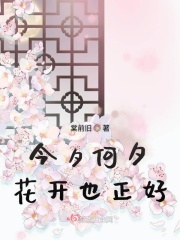 今夕何夕花开也正好章节列表