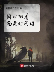 同时拥有两条时间线章节列表