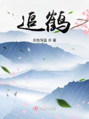 追鹤章节列表